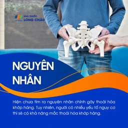 Thoái hóa khớp háng 3