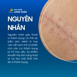 Thoát vị thành bụng 3