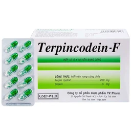Thuốc Terpincodein-F giảm ho, long đờm (10 vỉ x 10 viên)