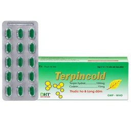 Thuốc Terpincold Hataphar giúp giảm triệu chứng ho, long đờm (2 vỉ x 15 viên)