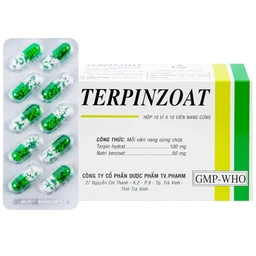 Thuốc Terpinzoat TV.PHARM làm loãng đờm và điều trị các triệu chứng ho (100 viên)