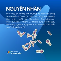 Tiêu chảy do kháng sinh 3