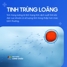 Tinh trùng loãng 1