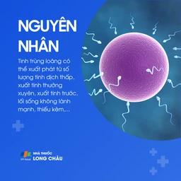 Tinh trùng loãng 3