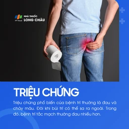 Bệnh trĩ 2