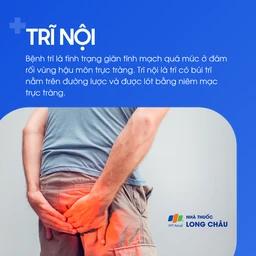 Trĩ nội 1