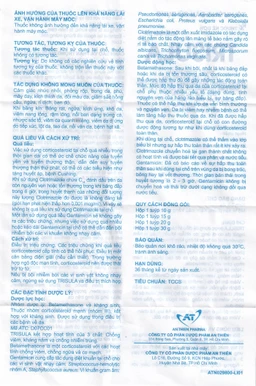 Kem bôi da Trisula 20g An Thiên Pharma điều trị các bệnh nhiễm khuẩn ngoài da 