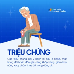 Trượt đầu trên xương đùi 2