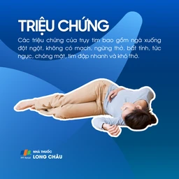 Trụy tim 2