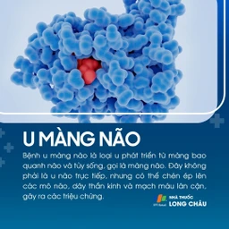 U màng não 1