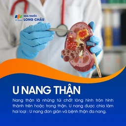 U nang thận 1