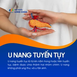 U nang tuyến tụy 1