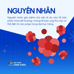 Ung thư đại tràng 3