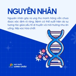 Ung thư manh tràng 3