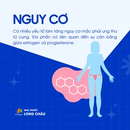 Ung thư tử cung giai đoạn 2 4