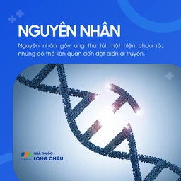 Ung thư túi mật 3