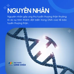 Ung thư tuyến thượng thận 3