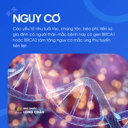 Ung thư tuyến tiền liệt 4