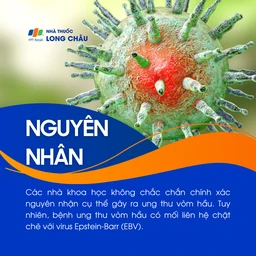 Ung thư vòm hầu 3