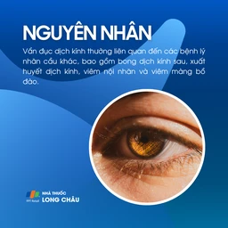 Vẩn đục dịch kính 3