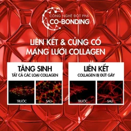 Kem dưỡng ban ngày giảm nếp nhăn và săn chắc da Vichy Liftactiv Collagen Specialist 16 Cream Day 50ml