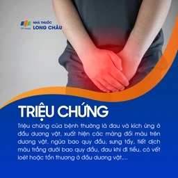 Viêm bao quy đầu 2