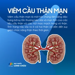 Viêm cầu thận mạn 1