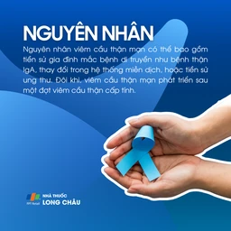 Viêm cầu thận mạn 3