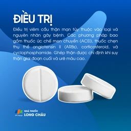 Viêm cầu thận mạn 6