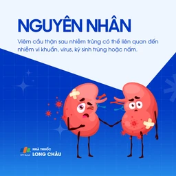 Viêm cầu thận sau nhiễm trùng 3