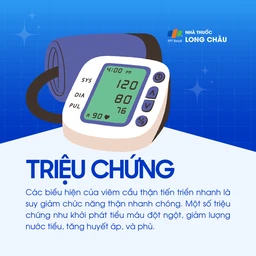 Viêm cầu thận tiến triển nhanh 2