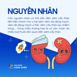 Viêm cầu thận tiến triển nhanh 3