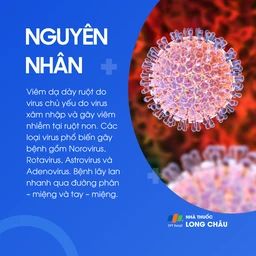 Viêm dạ dày ruột do virus 3
