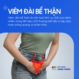 Viêm đài bể thận 1