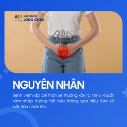 Viêm đài bể thận 3