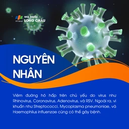 Viêm đường hô hấp trên 3