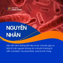 Nguyên nhân chủ yếu do vi khuẩn, một số do nấm Candida, mycobacteria hoặc virus ký sinh trùng