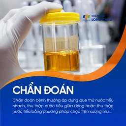Chẩn đoán qua que thử nước tiểu nhanh, thu thập nước tiểu giữa dòng hoặc chọc trên xương mu