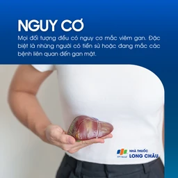 Viêm gan mạn tính 4