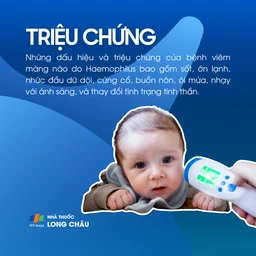 Bệnh viêm màng não do Haemophilus 2