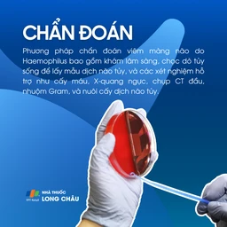 Bệnh viêm màng não do Haemophilus 5