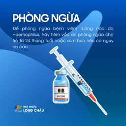 Bệnh viêm màng não do Haemophilus 7
