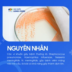 Viêm màng não do phế cầu 3