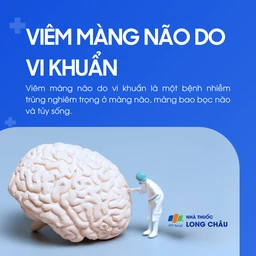 Viêm màng não do vi khuẩn 1