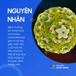 Viêm màng não do virus 3