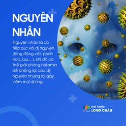 Viêm mũi dị ứng 3