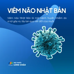 Viêm não Nhật Bản là một bệnh truyền nhiễm do virus, chủ yếu lây lan qua vết đốt của muỗi vằn