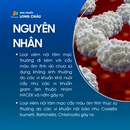 Viêm nội tâm mạc nhiễm khuẩn 4