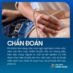 Viêm nội tâm mạc nhiễm khuẩn 6