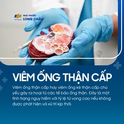 Viêm ống thận cấp 1
